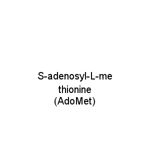 S-adenosyl-L-methionine (AdoMet)